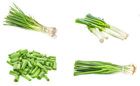 Chopped green onion isolated on white backgroundの写真素材