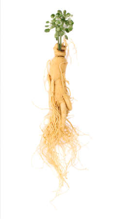 Fresh ginseng on a white background.