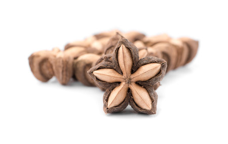 Star Bean Inca isolate on white backgroundの写真素材