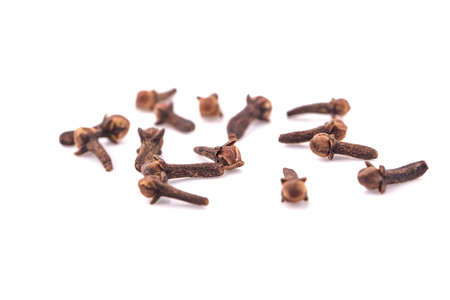 dried cloves on white backgroundの写真素材