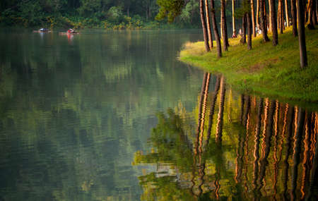 Reflect of tree and sunlight in the water at pang-oong national park maehongson, thailandの写真素材