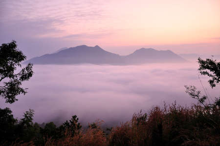 fog at the mountain in leoy, thailandの写真素材