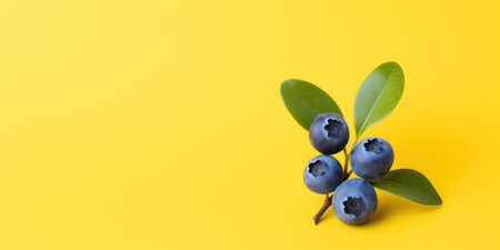 Blueberries with Green Leaves on Bright Yellow Background. Fresh Bilberry Twig. Generative AI.の素材