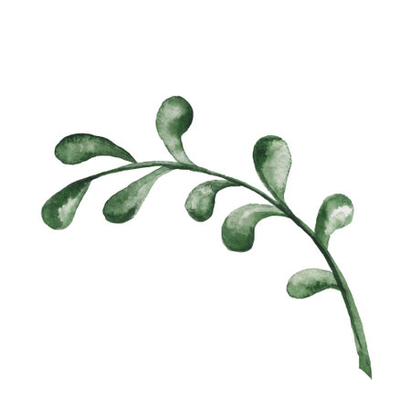 Watercolor plants elements for brunchの写真素材