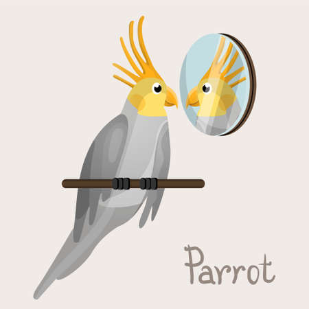 Cartoon cute parrot bird. Tropical animal.のイラスト素材