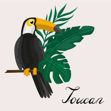 Toucan, exotic birds, tropical flowers, palm leaves, jungle leaves, bird of paradise.のイラスト素材
