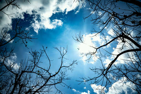 sunny dayの素材