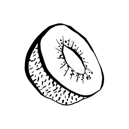 Half a kiwi doodle illustration, outline drawing, sketch style, black line on a white backgroundのイラスト素材