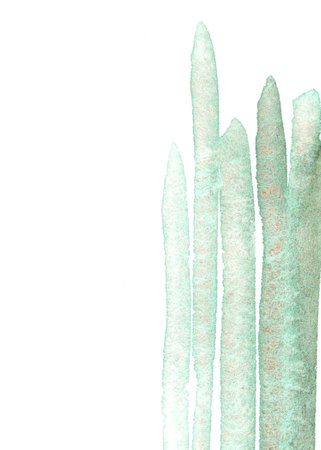 Green watercolor strokes on a white background, vertical textureの写真素材