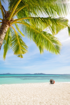 Typical tropical view, palm tree leaf in foreground, shallow water with beautiful layers of colors and sky in background  Shot on Malcapuya Island, Coron, Palawan, Philippinesの写真素材