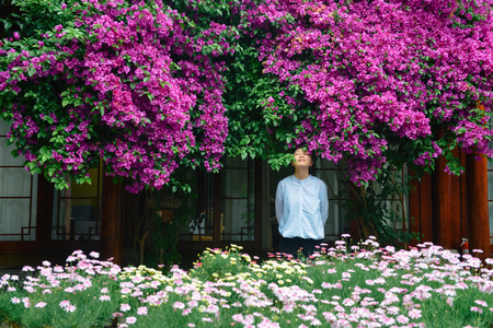 Single young Chinese girl standing under blooming flowers of Bougainvillea spectabilis, with eyes closed, in Lijiang city, Chinaの写真素材