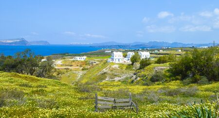 Beautiful landscape of Spring blossoms in Greek village on Santorini grassland by Aeagon seaの写真素材