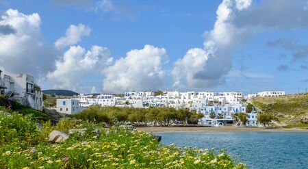 landscape of Spring blossoms and local hostels neighborhood by Aeagon sea on Paros island, Greeceの写真素材