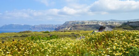 Beautiful landscape of Spring blossoms and wild horses on Santorini grassland by Aeagon seaの写真素材