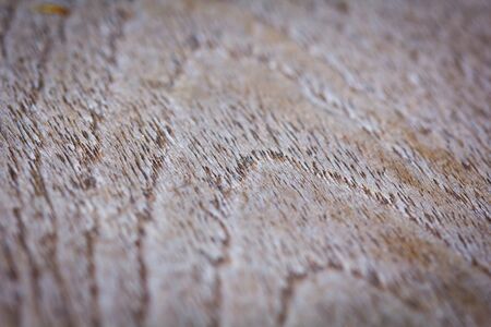 wood texture background Selective focus with shallow depth of field