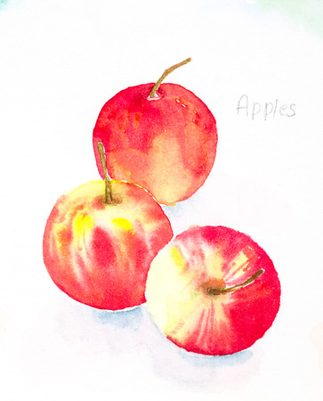 apples'watercolor paintedの写真素材