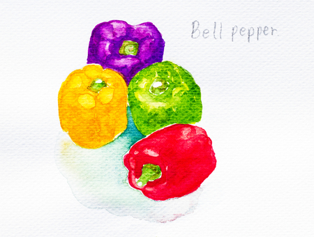 bell pepper'watercolor paintedの写真素材