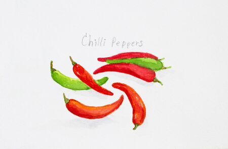 chillli peppers 'watercolor paintedの写真素材
