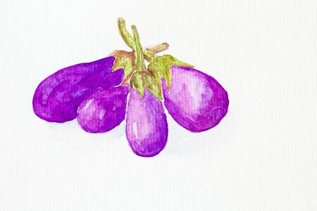 eggplant' watercolor paintedの写真素材