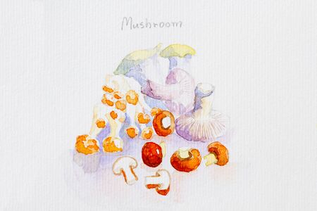 mushroom'watercolor paintedの写真素材