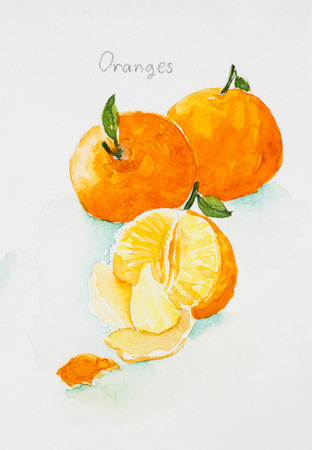 oranges'watercolor  paintedの写真素材