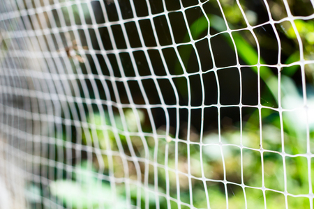 white plastic net selective focus with shallow depth of fieldの写真素材