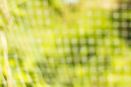 field in sunlight' defocusの写真素材