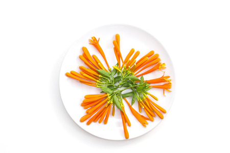 orange trumpet flowers on dish and white backgroundの写真素材