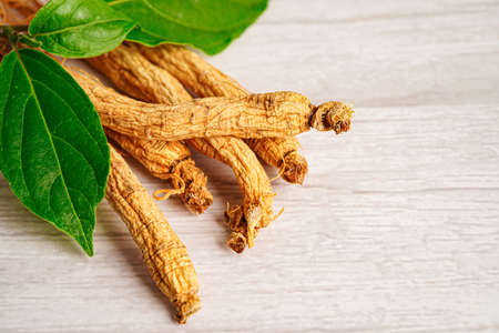 Ginseng roots and green leaf, healthy food.の写真素材