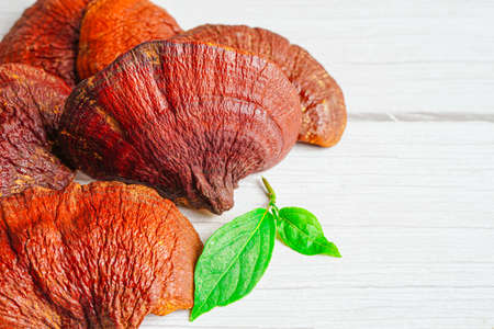 Lingzhi or Reishi mushroom with capsules, organic natural healthy food.