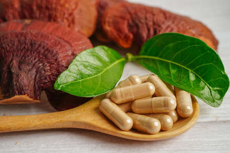 Lingzhi or Reishi mushroom with capsules, organic natural healthy food.の写真素材
