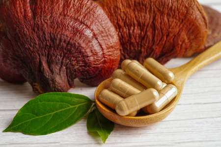Lingzhi or Reishi mushroom with capsules, organic natural healthy food.の写真素材