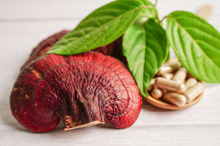 Lingzhi or Reishi mushroom with capsules, organic natural healthy food.の写真素材