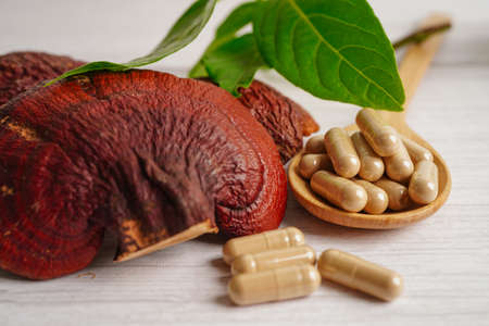 Lingzhi or Reishi mushroom with capsules, organic natural healthy food.の写真素材