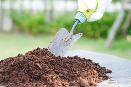 Peat moss, fertilizer soil for organic agriculture, plant growing, ecology concept.の写真素材