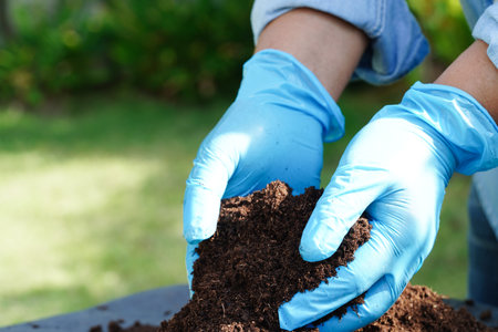 Peat moss, fertilizer soil for organic agriculture, plant growing, ecology concept.