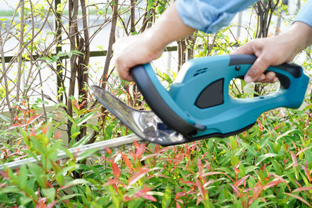 Gardener trimming bush by electric hedge clippers in garden. Hobby at home.