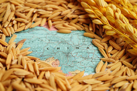 Bangkok, Thailand March 12, 2023 China map with grain rice from agriculture farm. Law and justice court concept.のeditorial素材