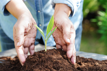 Tree growing with hand, eco earth day, save world, save earth, go greenの写真素材