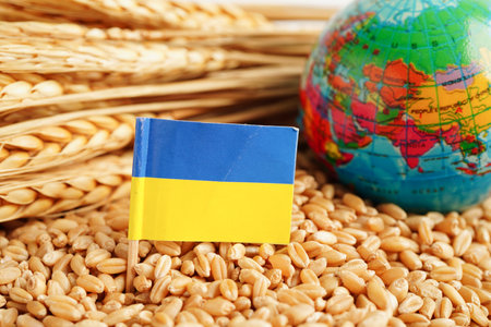 Bangkok, Thailand March 12, 2023 Wheat grains with US dollar banknotes, trade export and economy concept.のeditorial素材