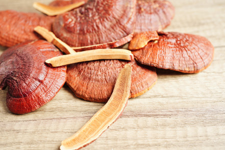Lingzhi or Reishi mushroom with capsules, organic natural healthy food.の写真素材