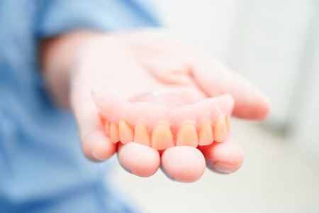 Doctor holding teeth denture in hand for dentist studying about dentistry.