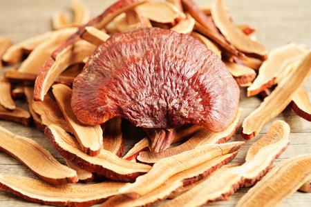 Lingzhi or Reishi mushroom with capsules, organic natural healthy food.の写真素材