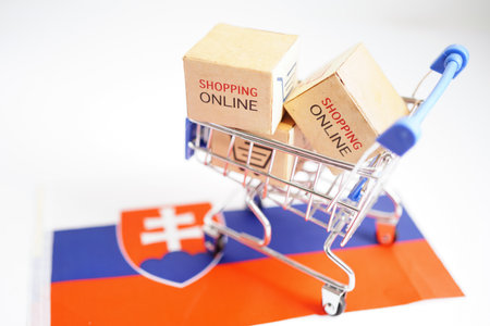 Online shopping, Shopping cart box on Slovakia flag, import export, finance commerce.の写真素材