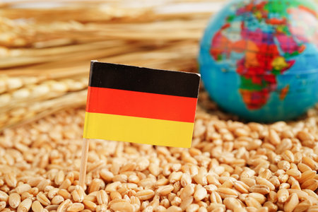 Germany flag on grain wheat, trade export and economy concept.の写真素材