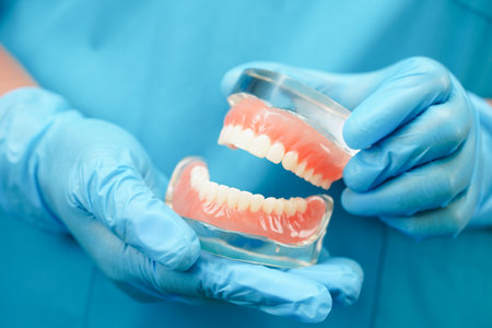 Asian dentist holding dental teeth model for learn about dentistry.