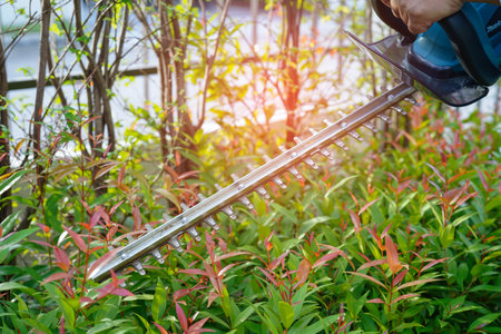 Gardener trimming bush by electric hedge clippers in garden. Hobby at home.の写真素材