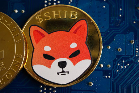 Shiba Inu coin on circuit mainboard computer for business and commercial, Digital currency, Virtual cryptocurrency.の写真素材