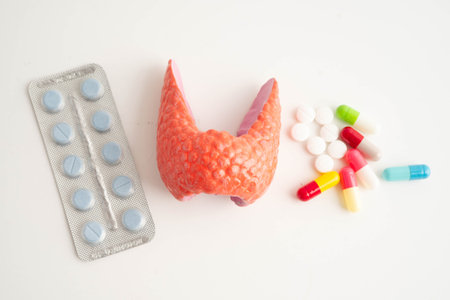 Thyroid model with pill drug treatment, Hyperthyroidism, Overactive or Lymphoma.の写真素材