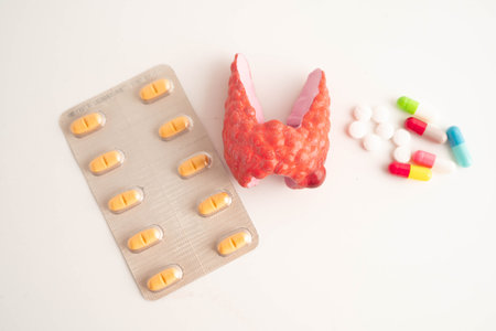 Thyroid model with pill drug treatment, Hyperthyroidism, Overactive or Lymphoma.の写真素材